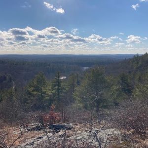 Meet your Posher, Danny